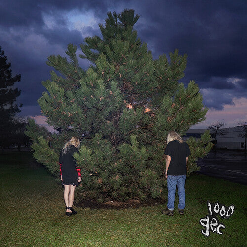 100 gecs - 1000 Gecs ( VINYL )