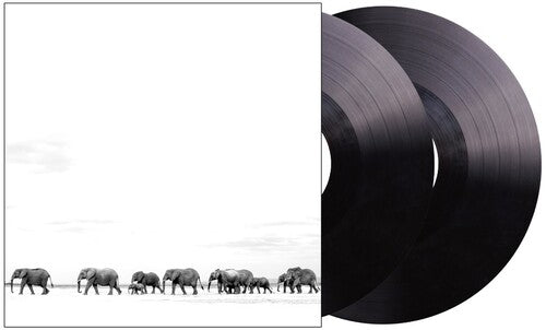 Dave Matthews - Where Are You Going: The Singles ( VINYL )