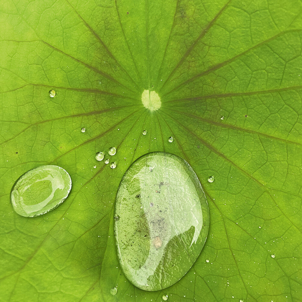 Pre-Order: Peter Chilvers - Dust 3 (10in) ( VINYL )